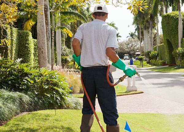 About Fall Rock KY Pest Control